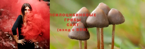 эйфоретик Алзамай