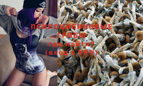 винт Алексеевка