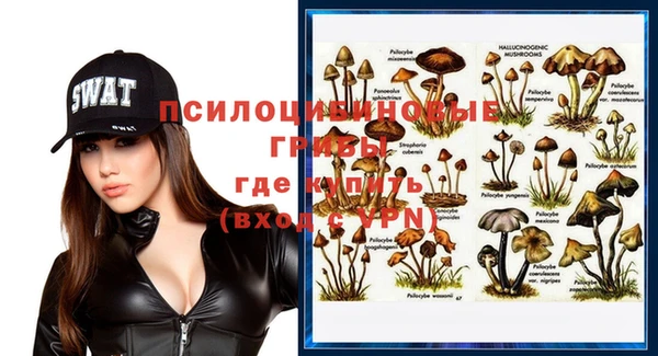 эйфоретик Алзамай