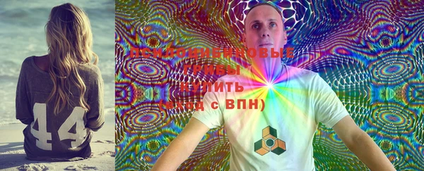 эйфоретик Алзамай