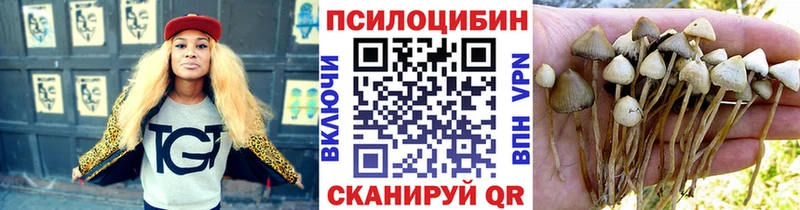 Псилоцибиновые грибы ЛСД Болгар