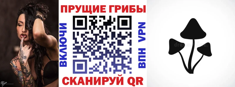 Псилоцибиновые грибы прущие грибы Болгар